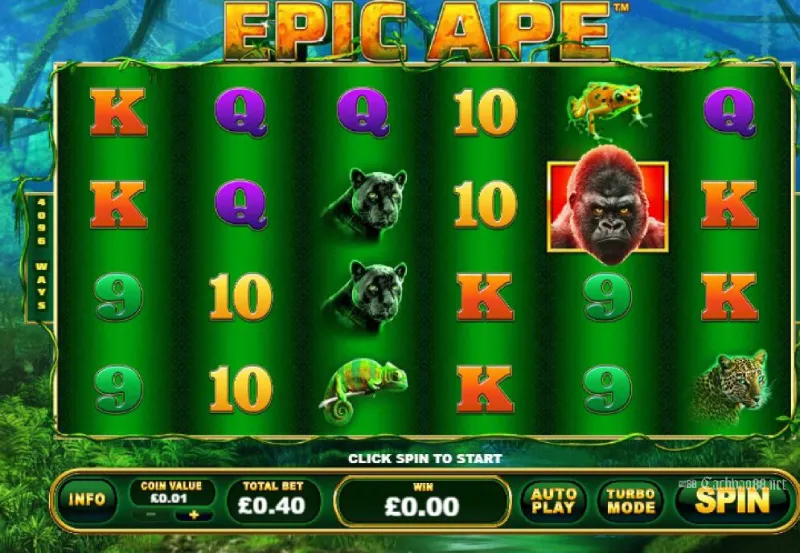 Epic Ape